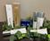 Various skincare products from the Galastine brand are displayed among green leaves on a dark surface, showing tubes and bottles with visible brand labels.
