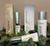 Four skincare products on a desk with ivy leaves: two in gold and white packaging labeled "Alastin," one in white labeled "EltaMD," and one in blue and white labeled "Epionce.
